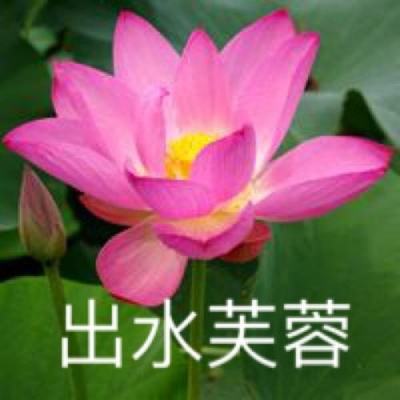 我是无敌神官方版(暂未上线)v1.0.0 安卓正式版